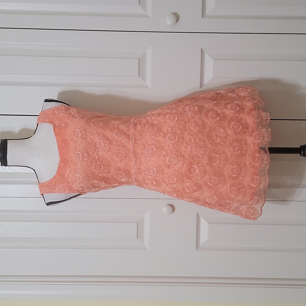 Embroidered lace dress